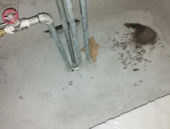 许昌卫生间测漏水价格明细